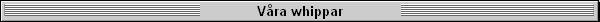 V�ra whippar